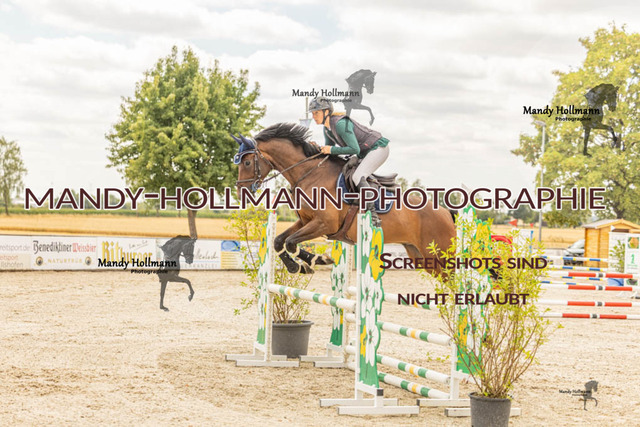 26-7-23 SPR A++-145 | mandyhollmannphotographie