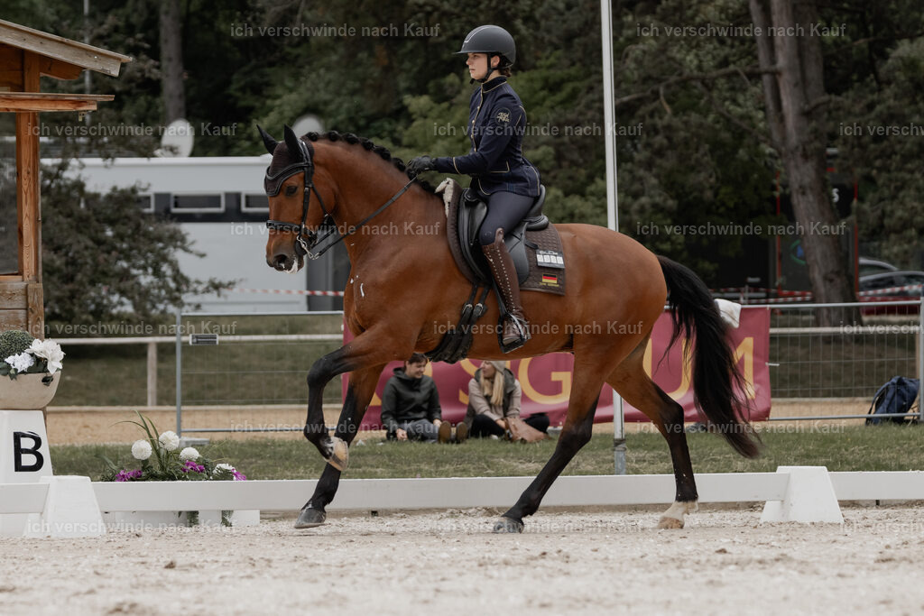 WE_DR_Stoib_335_PI2025_406 | Pferd International München 2025