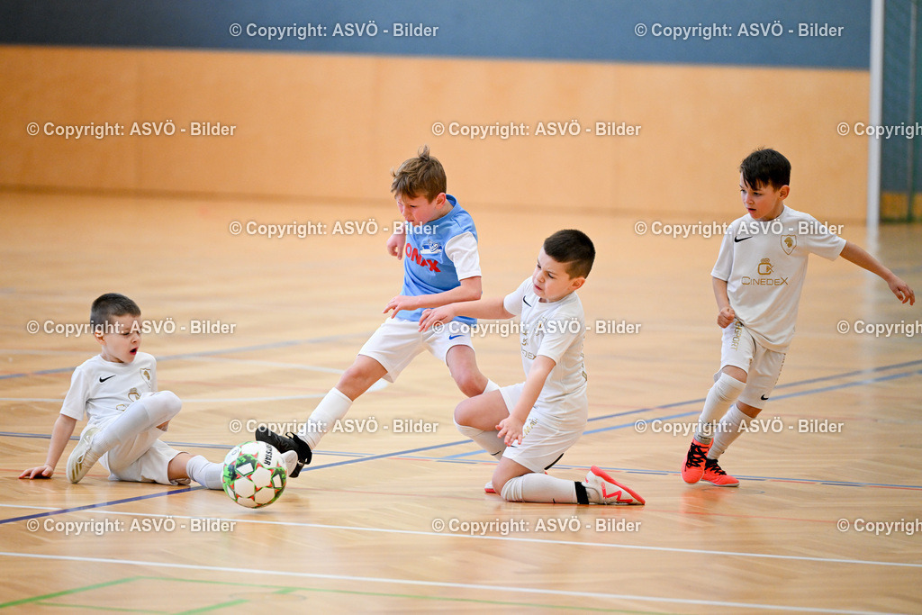 ASVÖ_ Fussballturnier SV Gallneukirchen_ 08.02.2025-68 | 08.02.2025, Gallneukirchen, AUT, ASVÖ, Fussball Nachwuchs Hallenturnier 2025, SV Gallneukirchen im Bild Teilnehmer U 7©Harald Dostal / fodo.media - Realisiert mit Pictrs.com