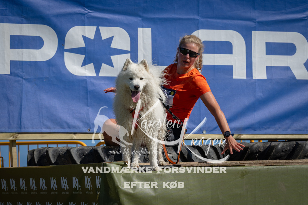 1109_ZZ90868 | kk-dogfotos