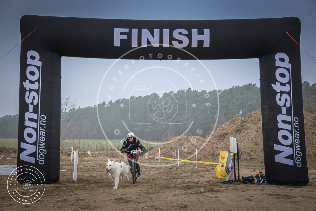 Pfotenfotografie_0L8A2595 | Hundefotografie, Tierfotograf, Pfotenfotografie, Fotoshooting Hund, Hunde Portrait, Hundesport, Hundeportraits, Heideshooting, Hunde, Sportfotograf, Hundefotograf, Turnierhundsport, THS,  - Realisiert mit Pictrs.com