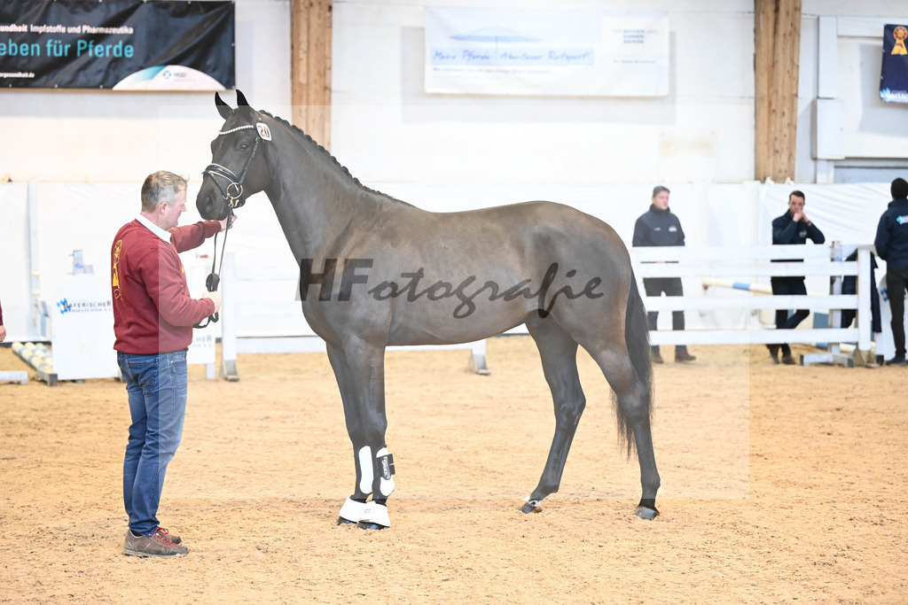 Kat-Nr. 20 v. Marc Cain_Seiler_6240428 | hf-fotografie - Realisiert mit Pictrs.com