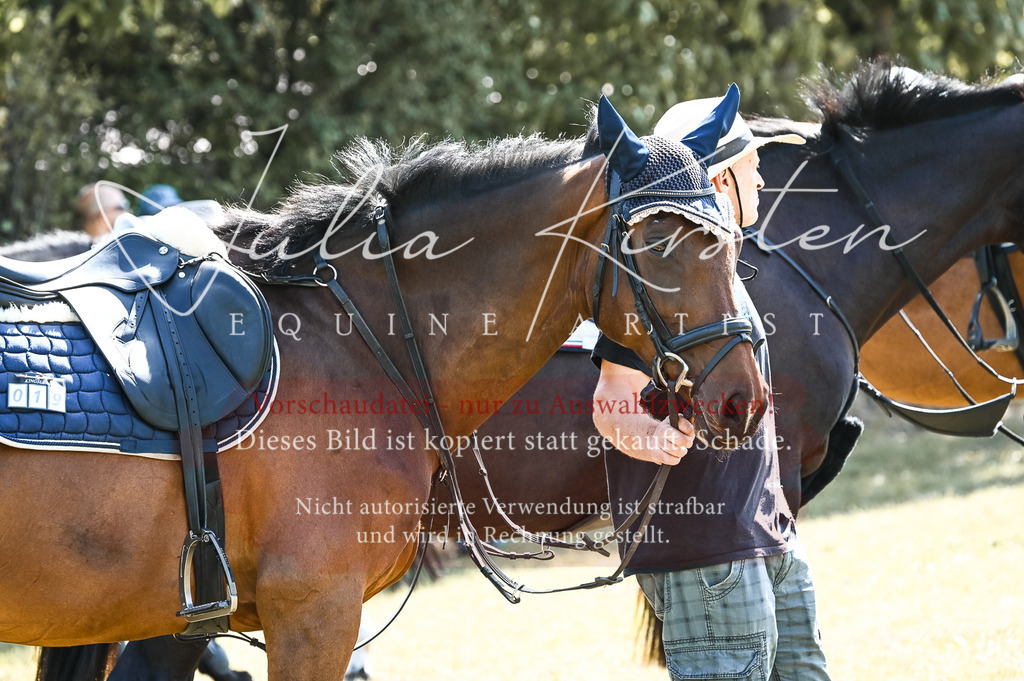 DSC_7084 | Pferde- und Turnierfotografie in Westsachsen. Pferdeportraits, Auftragszeichnungen und intuitive Kunst.
