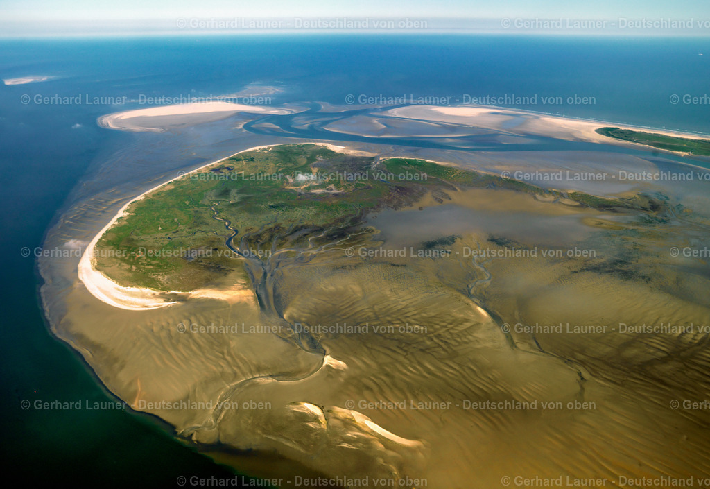 3091144 | Vogelschutzgebiet Memmert, Nationalpark Niedersächsisches Wattenmeer