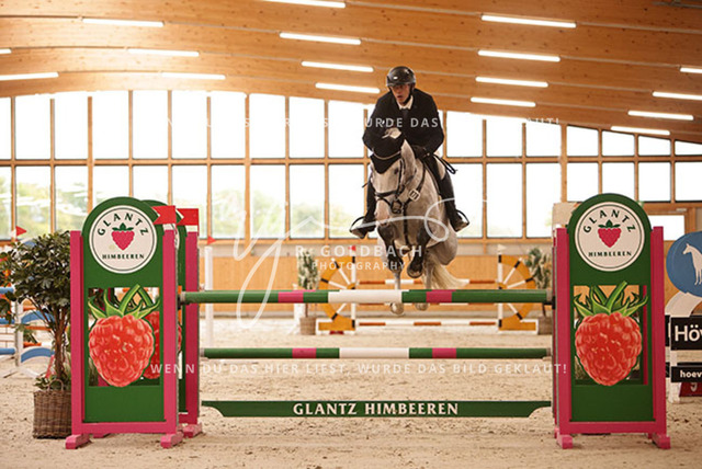 1J2A4947Martin Wißenbach_ Carlandra Blue_ Kn070_ Glantz_ Hohen Wieschendorf | Foto- und Videografie für alles rund ums Pferd. Hochwertige Bilder und Videos vom Spring- und Dressurreiten, Voltigieren & mehr. Jetzt aktuelle Veranstaltungen und Preise im Shop ansehen. - Realisiert mit Pictrs.com