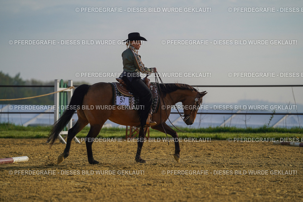 DSC00506 | Pferdegrafie