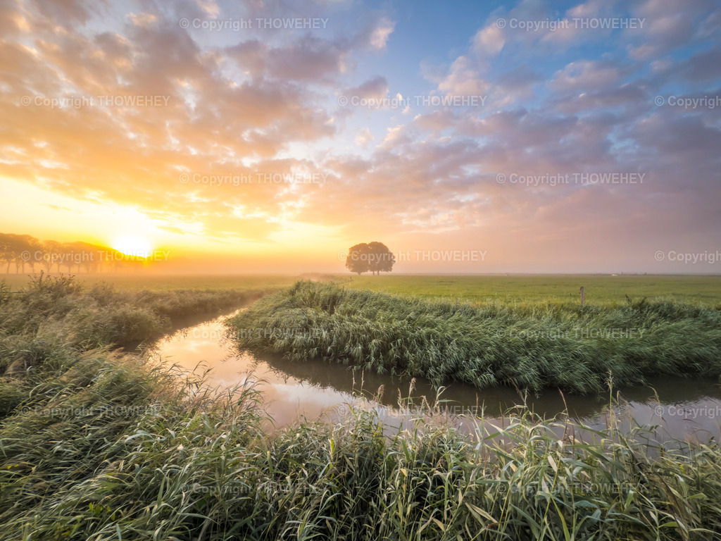 IMG_1730 | thowehey - Realisiert mit Pictrs.com