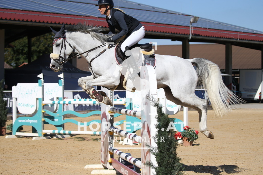 DL2Q2486 | Willkommen bei Brunnmayr - Design & Fotografie – Ihrem Spezialisten für Reitturniere und Pferdeveranstaltungen in Oberösterreich, Salzburg und Bayern! Seit über 17 Jahren sind wir leidenschaftlich dabei.