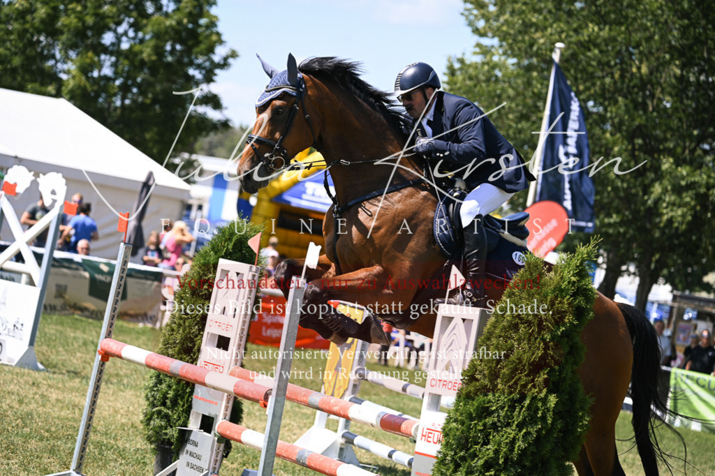 DSC_0194 | Pferde- und Turnierfotografie in Westsachsen. Pferdeportraits, Auftragszeichnungen und intuitive Kunst.