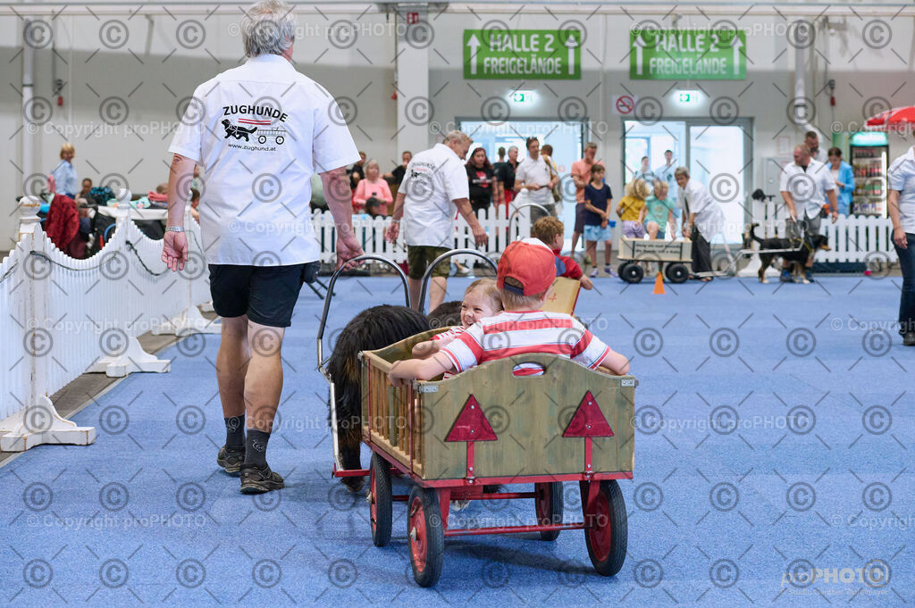 202406_ÖKV-IHA-Tulln24_DSC_4683 | proPHOTO - Realisiert mit Pictrs.com