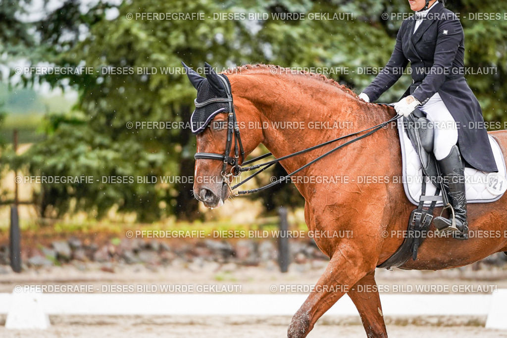 DSC09522 | Pferdegrafie