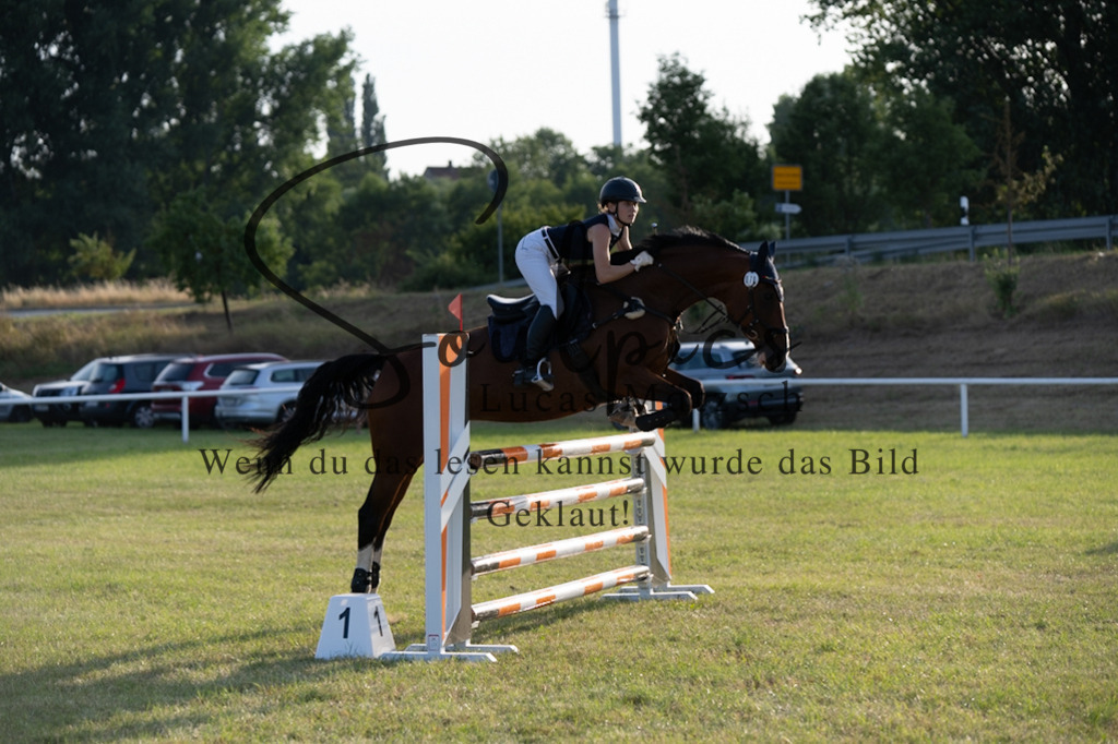 A7V01017 | Pferdefotograf