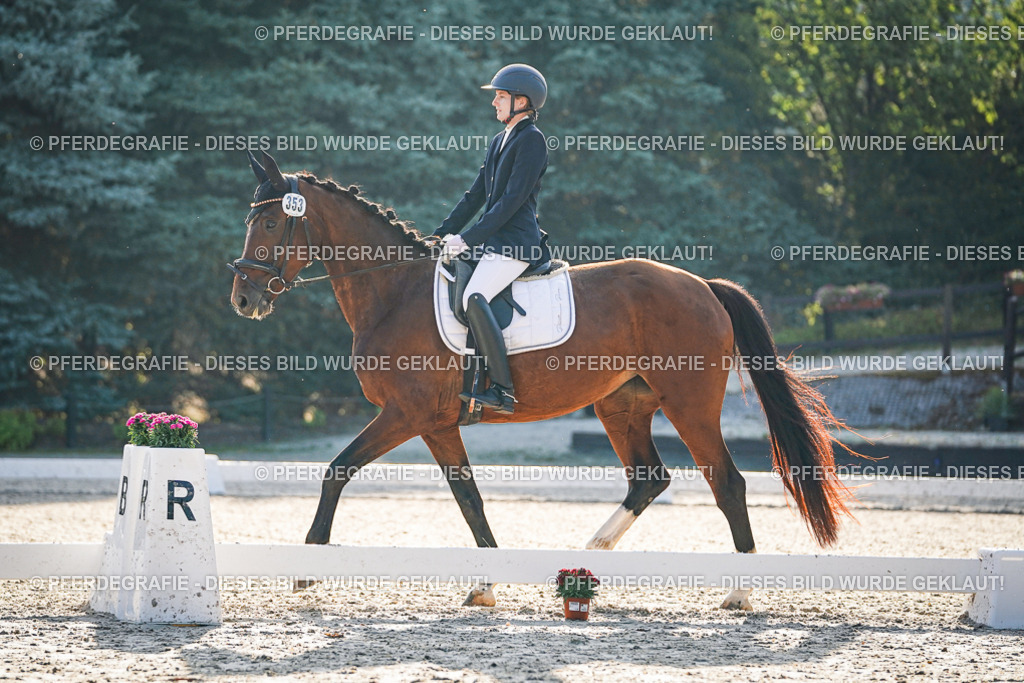 DSC07817 | Pferdegrafie