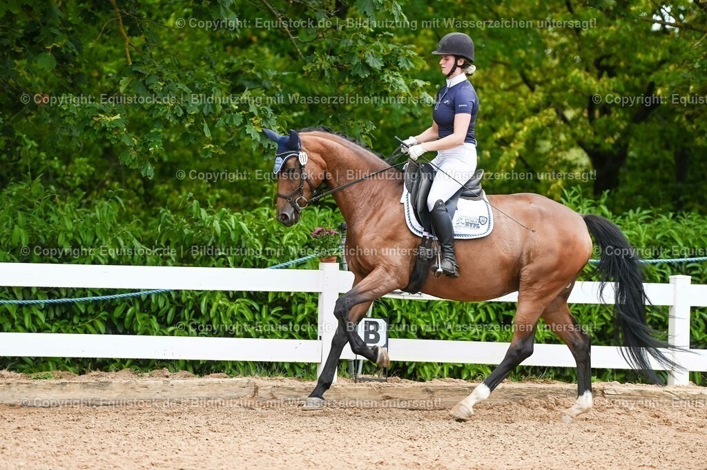 20230715_05_Dressurprüfung Kl.A++_0103 | equistock