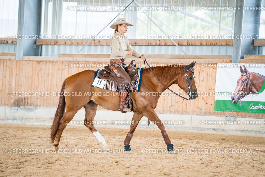 DSC07450 | Pferdegrafie