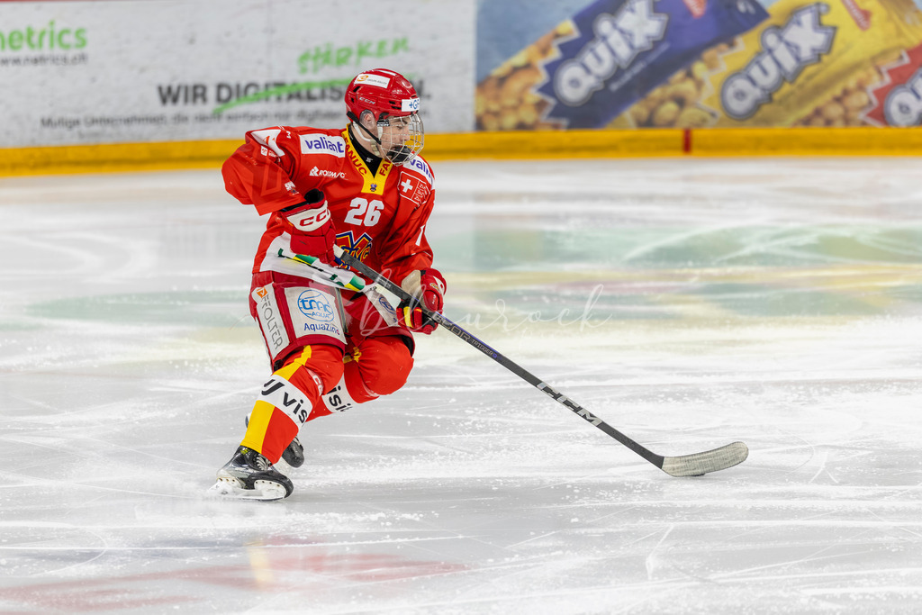 EHCB vs HCD 20262703-416250880 | Sportbilder, Sportfotograf, Hochzeits- und Eventfotografin, Flugshows, Portraits und Tiershooting, Aviation, Downhill, Nationalleague, Swissleague, International