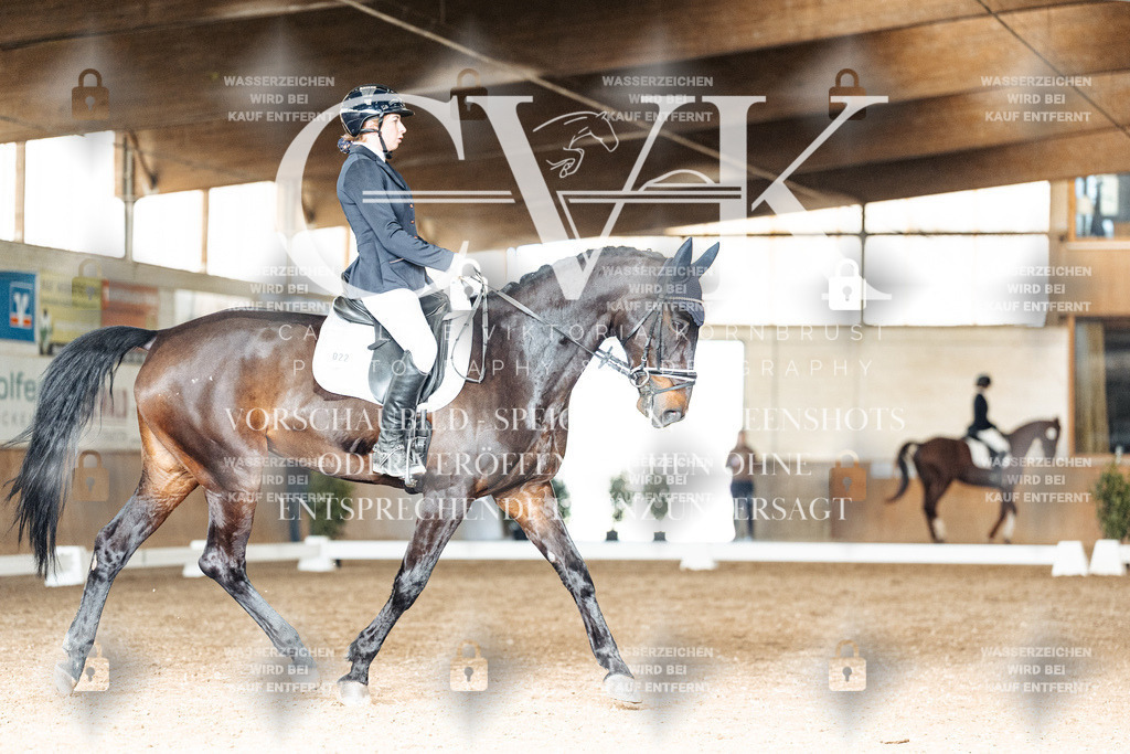 CK902327 | Turnierfotografie Pferdefotografie Trier Rheinland-Pfalz Pferdesport Reitsport Tierfotografie Sportfotografie Pferdevideo Pferdevideografie Equestrianvideography equestrianphotography  - Realisiert mit Pictrs.com