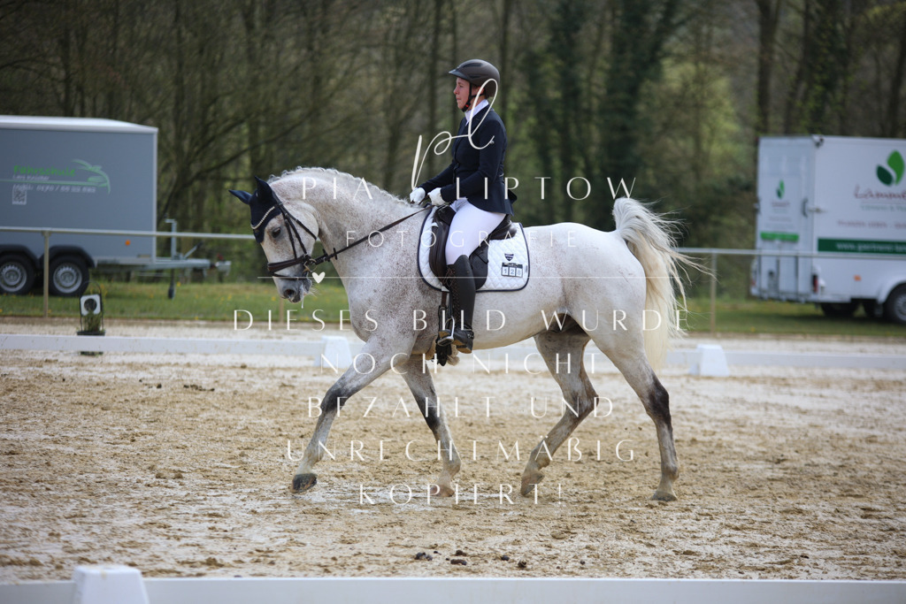 IMGT3369 | pl-fotografie