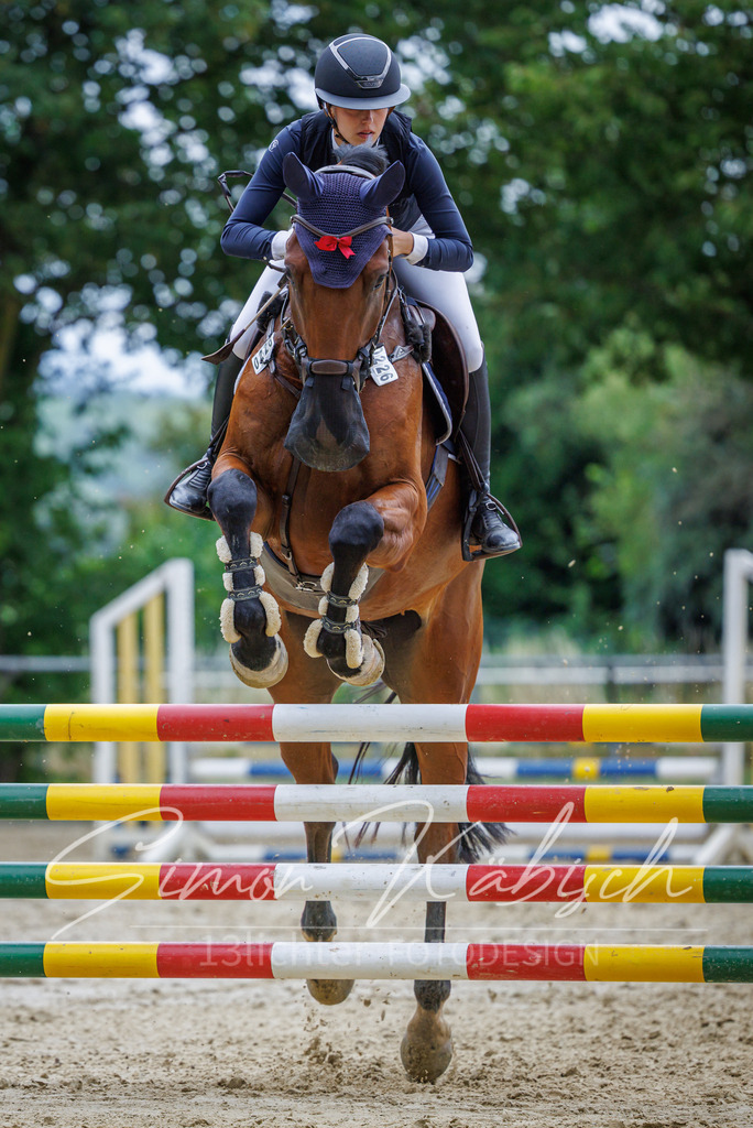 20260705-_3LI6170 | Tierfotografie Pferde, Hunde, Katzen, Haustiere.
Turnierfotografie Reitturniere, Reiten, Springreiten, Dressur in Hanau, dem Main-Kinzig-Kreis und dem Rhein-Main- Gebiet um Frankfurt
