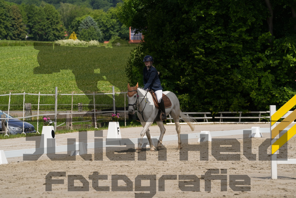 DSC03338 | Julian Held Fotografie - Realisiert mit Pictrs.com