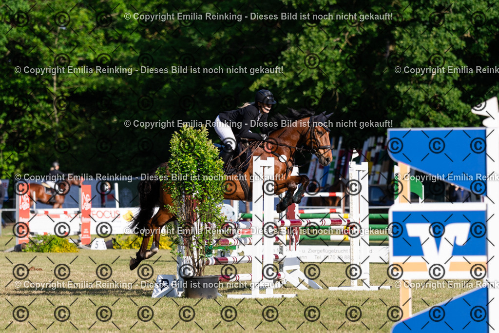 CL5A6969 | Emilia Reinking Fotografie - Realisiert mit Pictrs.com