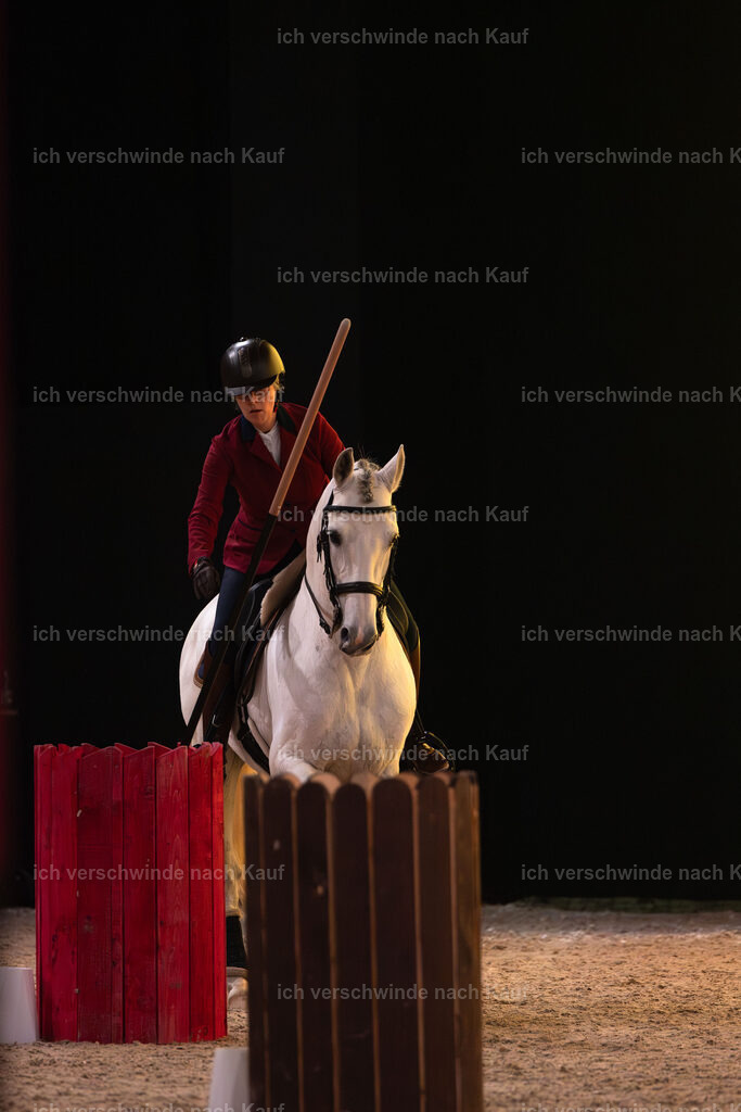 JoseraCup-109 | working equitationturnier fotograf videograf stoibphotography marixx film working equitation deutschland reitsport turnierfotografie eventfotografie equestrian events