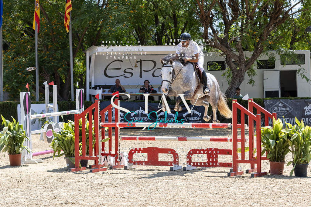 IMG_7469 | s-jay-photography - Realisiert mit Pictrs.com