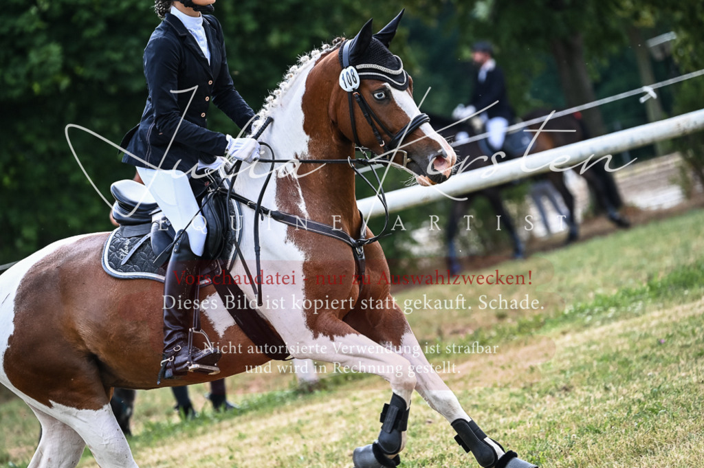 DSC_8546 | Pferde- und Turnierfotografie in Westsachsen. Pferdeportraits, Auftragszeichnungen und intuitive Kunst.