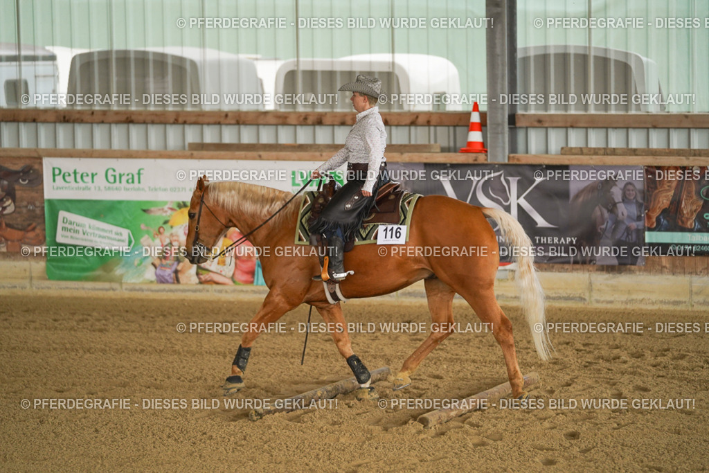 DSC02595 | Pferdegrafie