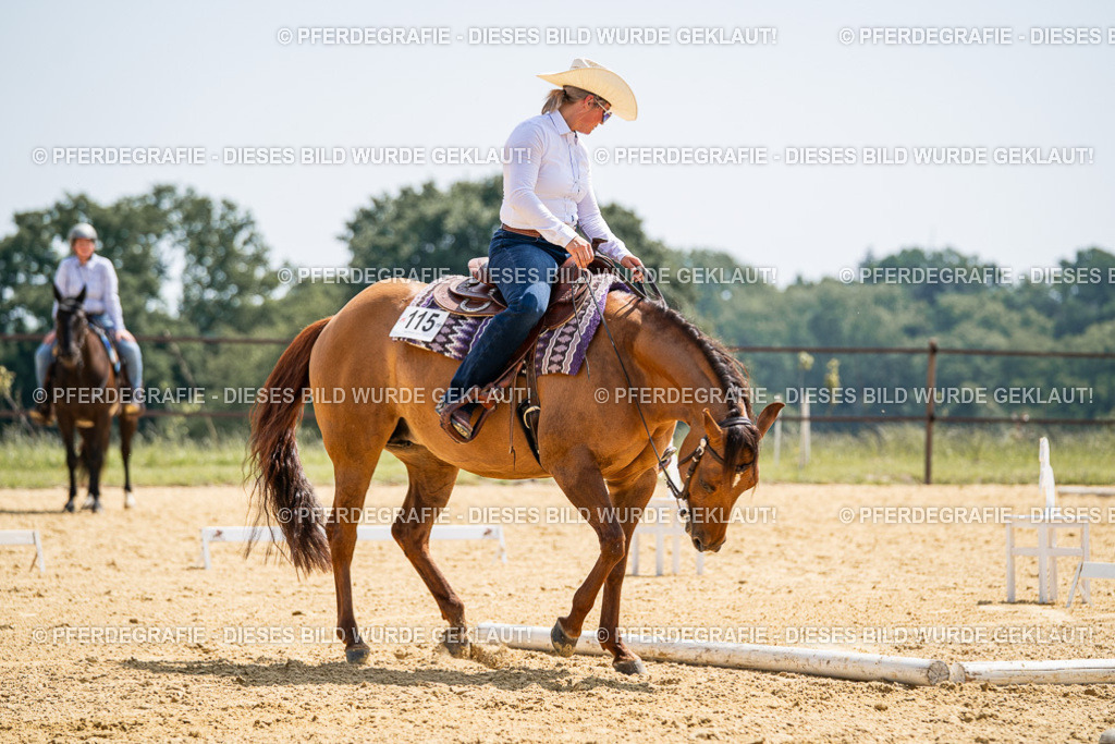 DSC00808 | Pferdegrafie