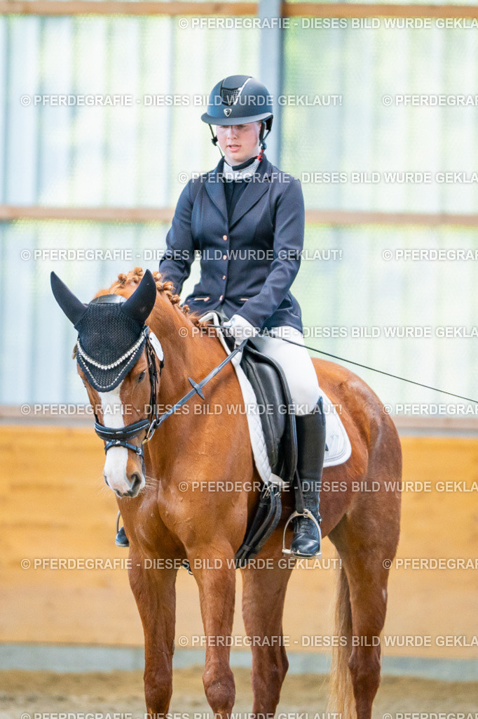 DSC07033 | Pferdegrafie