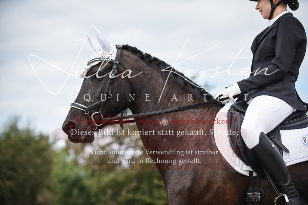 DSC_8599 | Pferde- und Turnierfotografie in Westsachsen. Pferdeportraits, Auftragszeichnungen und intuitive Kunst.