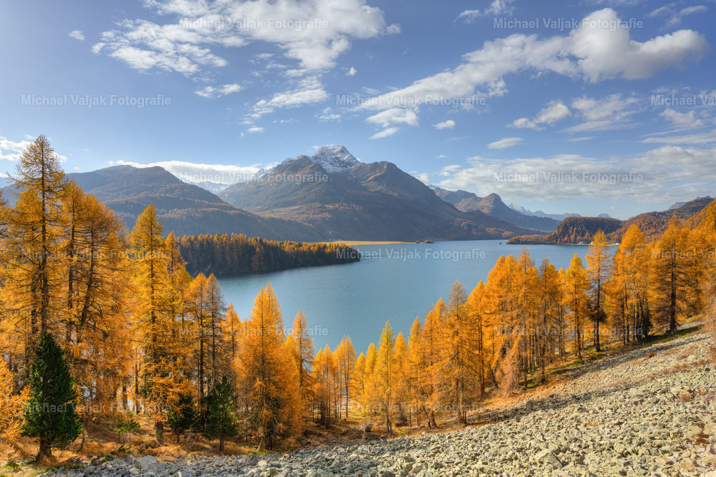Herbsttag am Silsersee im Engadin | Ein wunderschöner Herbsttag am Silsersee im Oberengadin im Kanton Graubünden in der Schweiz. Die Sonne bringt die herbstlich gefärbten Lärchen zum Leuchten, im Hintergrund ist der Piz da la Margna zu sehen.  - Realisiert mit Pictrs.com