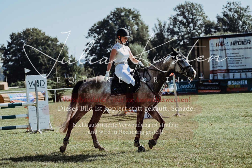 DSC_5502 | Pferde- und Turnierfotografie in Westsachsen. Pferdeportraits, Auftragszeichnungen und intuitive Kunst.