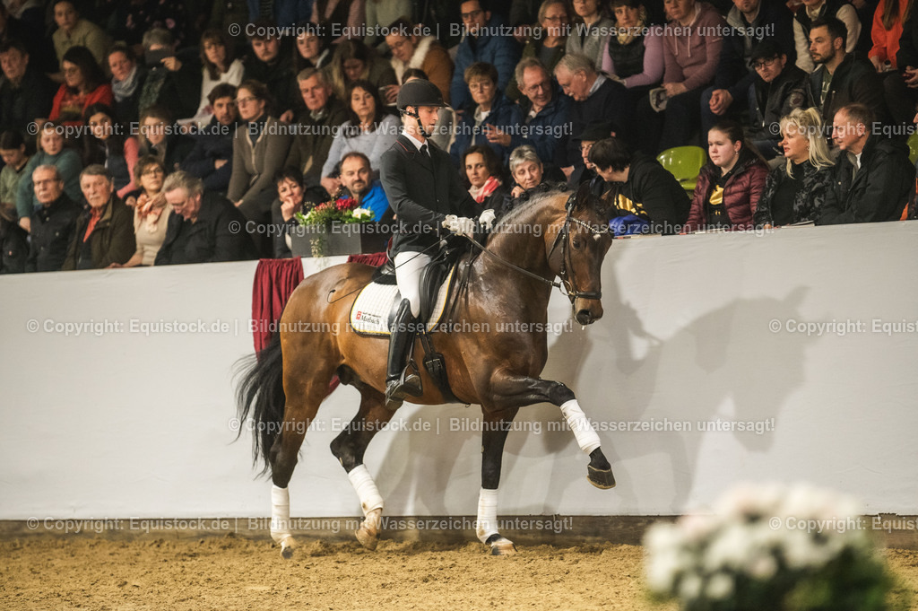 20240302_Hengstvorstellung_Marbach_TOMsPiC_1239-2 | equistock