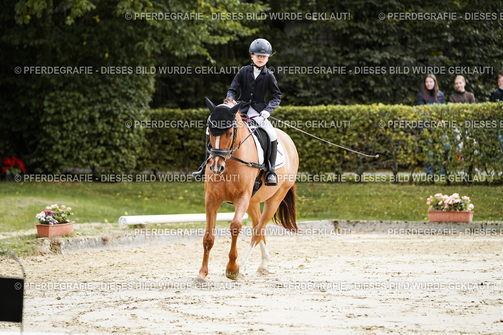 DSC05465 | Pferdegrafie