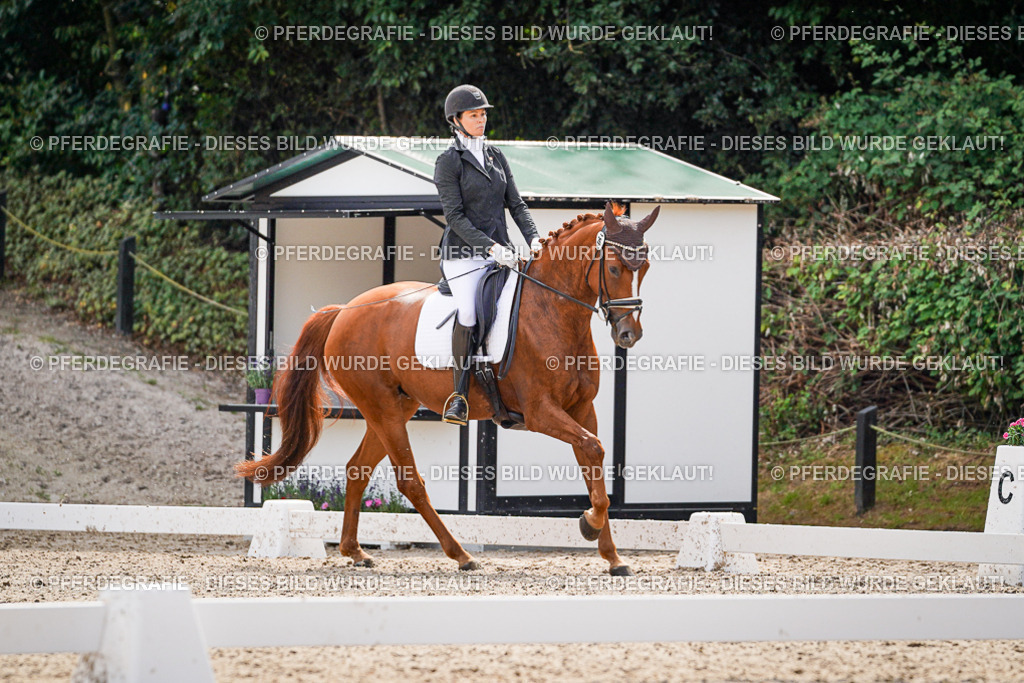 DSC08439 | Pferdegrafie