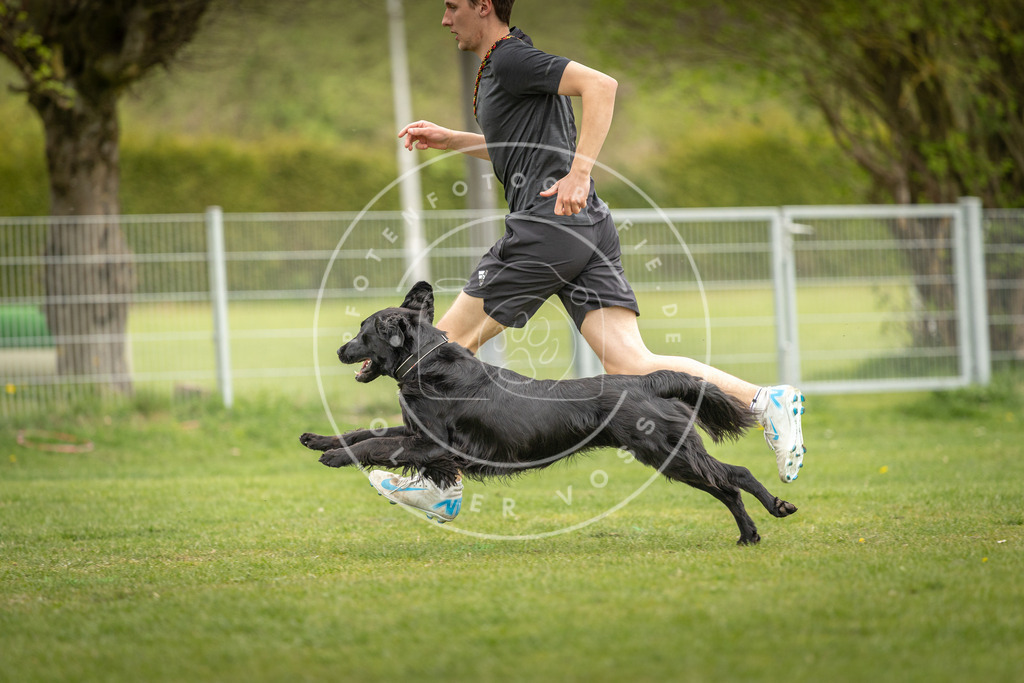 Pfotenfotografie_DV3A9805 | Hundefotografie, Tierfotograf, Pfotenfotografie, Fotoshooting Hund, Hunde Portrait, Hundesport, Hundeportraits, Heideshooting, Hunde, Sportfotograf, Hundefotograf, Turnierhundsport, THS,  - Realisiert mit Pictrs.com