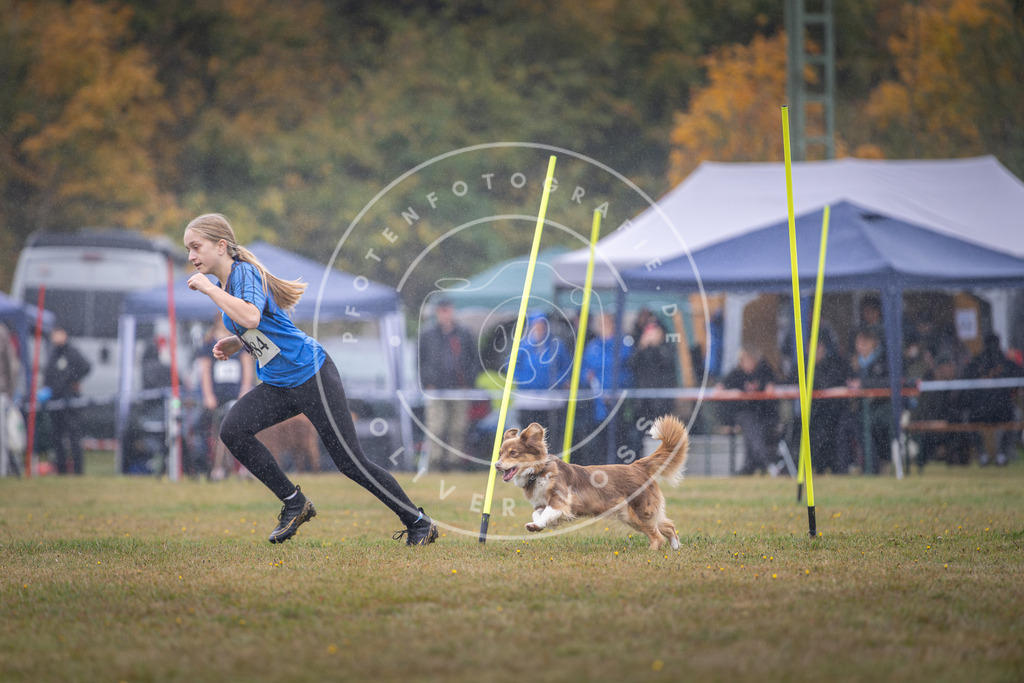 Pfotenfotografie_DV3A0043 | Hundefotografie, Tierfotograf, Pfotenfotografie, Fotoshooting Hund, Hunde Portrait, Hundesport, Hundeportraits, Heideshooting, Hunde, Sportfotograf, Hundefotograf, Turnierhundsport, THS,  - Realisiert mit Pictrs.com