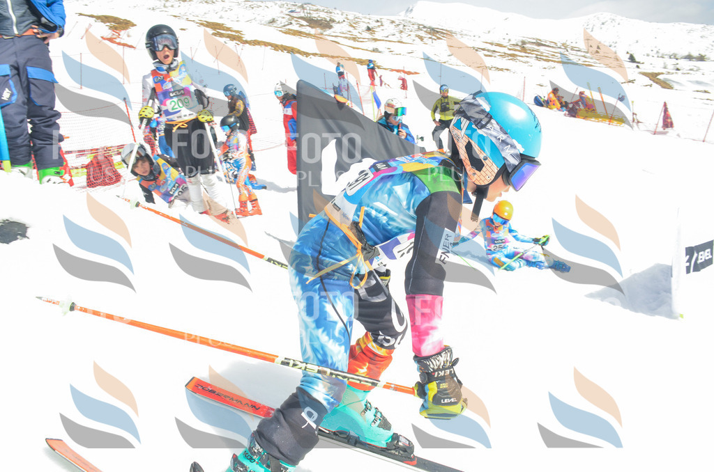 _ELE6801 | holidayphoto