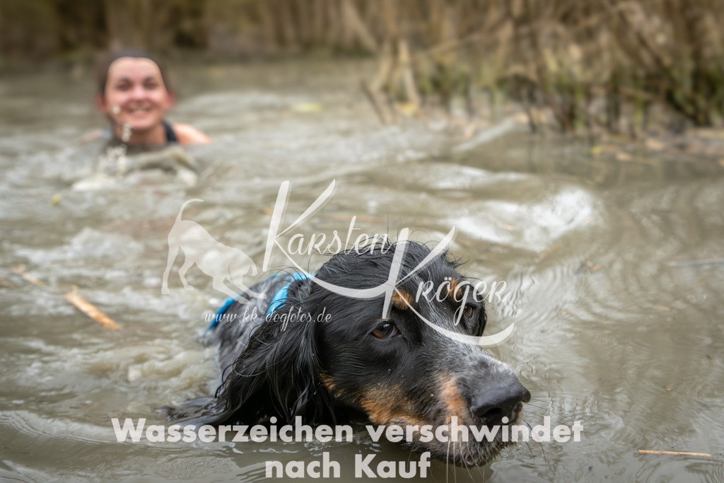 1244_ZZ90113 | kk-dogfotos