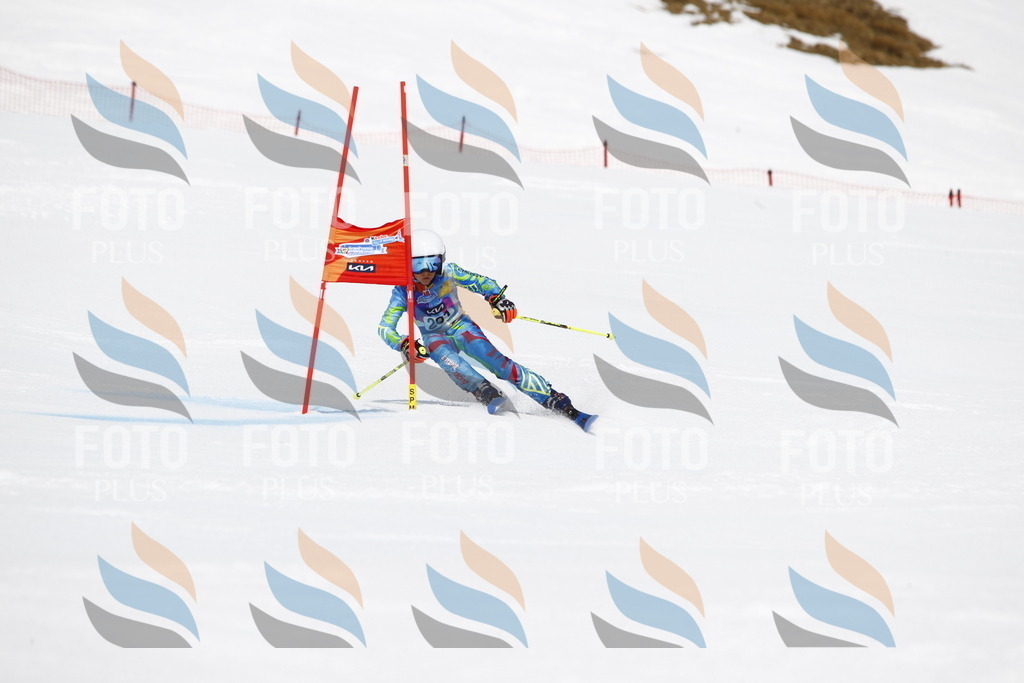 _U3G7031 | holidayphoto