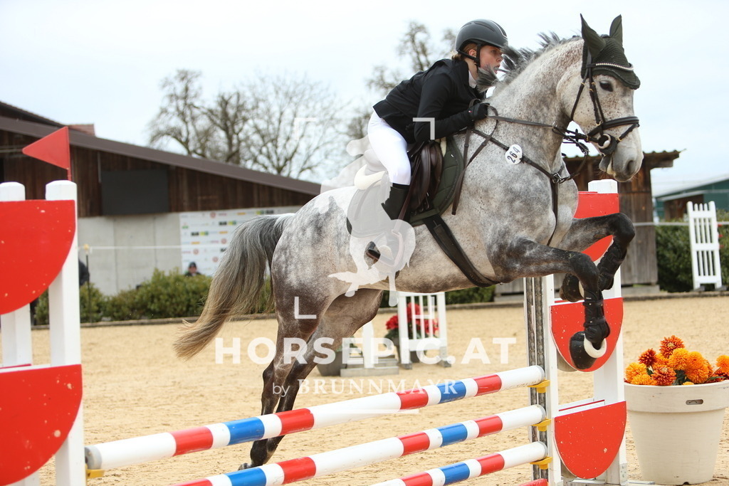 DL2Q1530 | Willkommen bei Brunnmayr - Design & Fotografie – Ihrem Spezialisten für Reitturniere und Pferdeveranstaltungen in Oberösterreich, Salzburg und Bayern! Seit über 17 Jahren sind wir leidenschaftlich dabei.