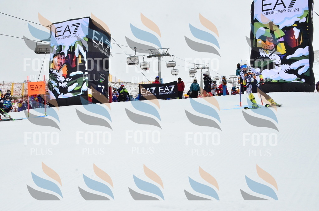 _ELE3404 | holidayphoto