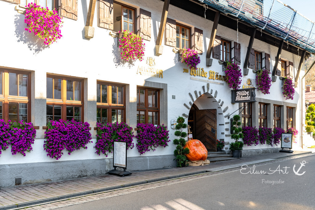20241029-EAF_4935 | Eilun-Art-Fotografie Levke Martens, ihre Fotografin für Immobilien- und Landschaftsfotografie auf Föhr, Föhrer Motive als Poster, Leinwand, hinter Acrylglas oder stelle dir deinen eigenen Monatskalender zusammen, mit nur einem Klick