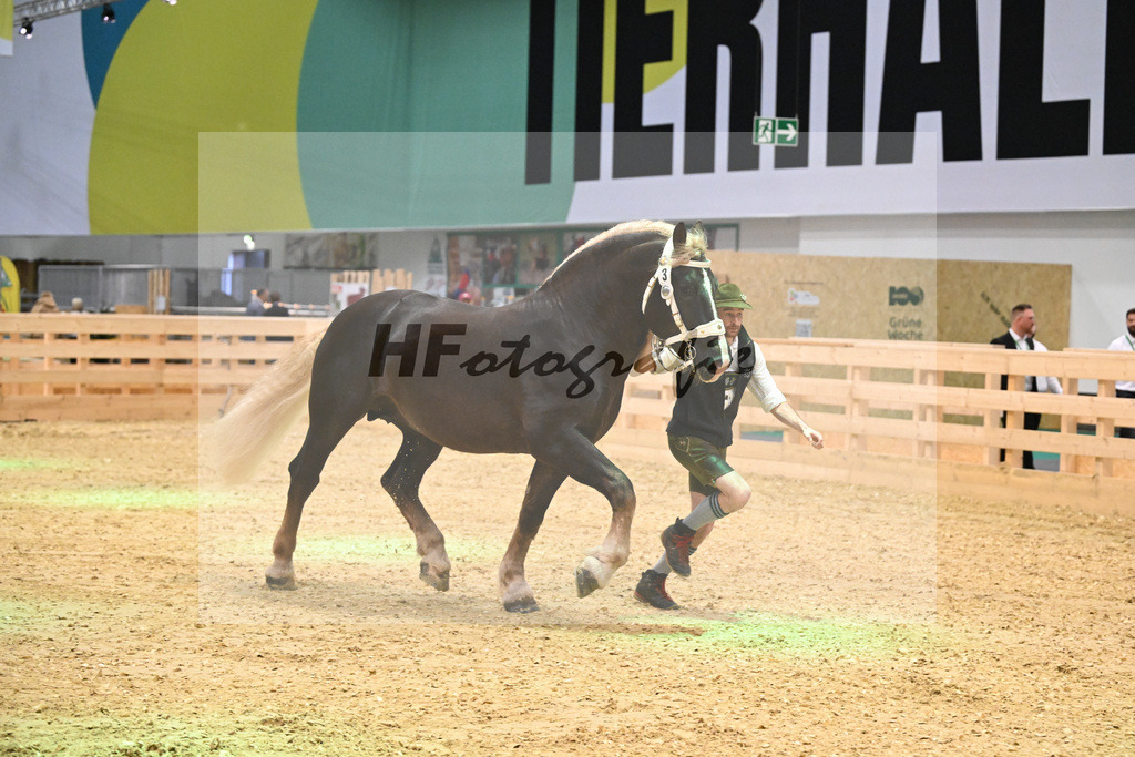 Kat-Nr. 3 Steinbach v. Burggen v. Sixtus_Schleich_1260053 | hf-fotografie - Realisiert mit Pictrs.com