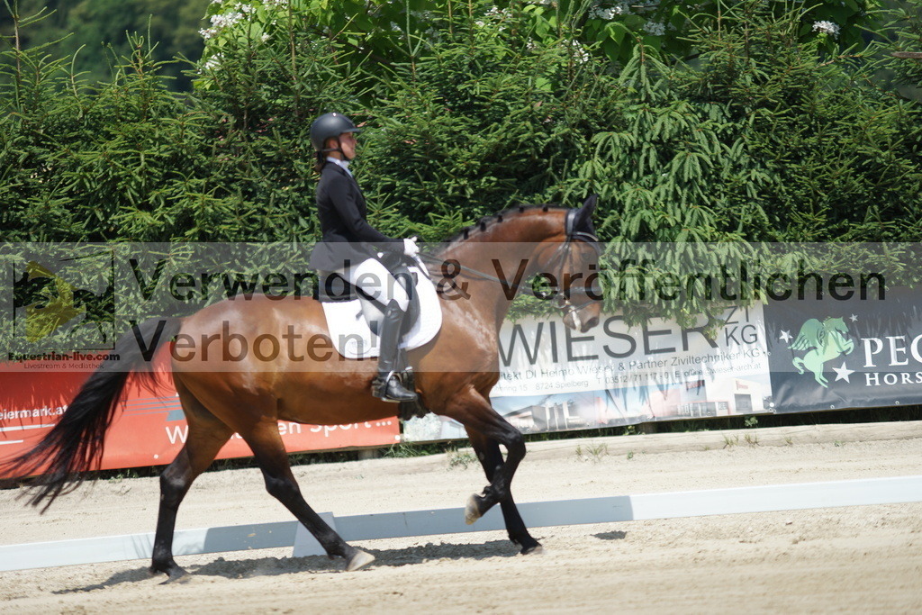 DSC04813 | equestrian-live-com