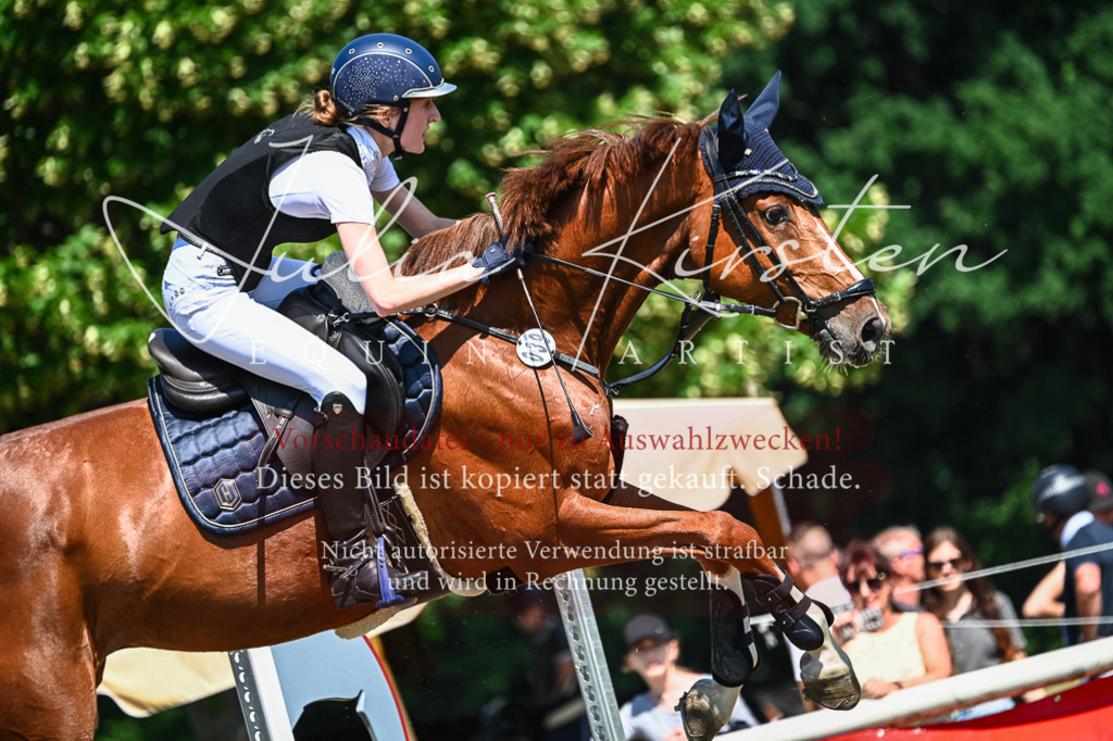 DSC_1192 | Pferde- und Turnierfotografie in Westsachsen. Pferdeportraits, Auftragszeichnungen und intuitive Kunst.