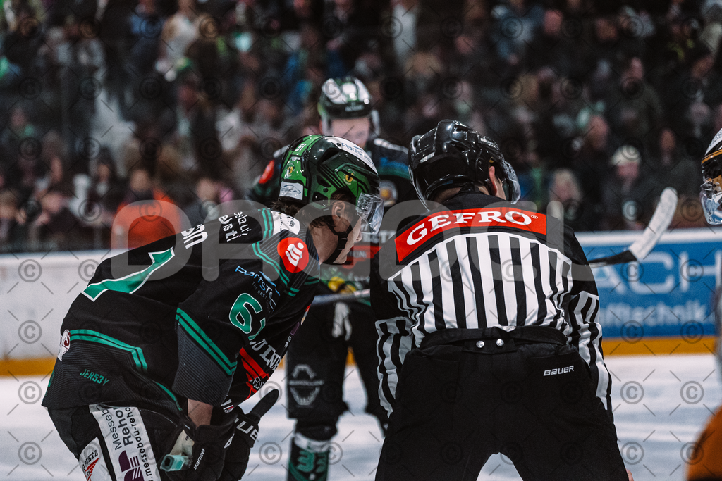 Alligators_vs_Fuessen_06_03_2026_PP-36 | Höchstadt Alligators Fotogalerie: Eishockey-Action aus Franken. Professionelle Spielfotos, Portraits & Stadionbilder zum Download. Jetzt entdecken! - Realisiert mit Pictrs.com