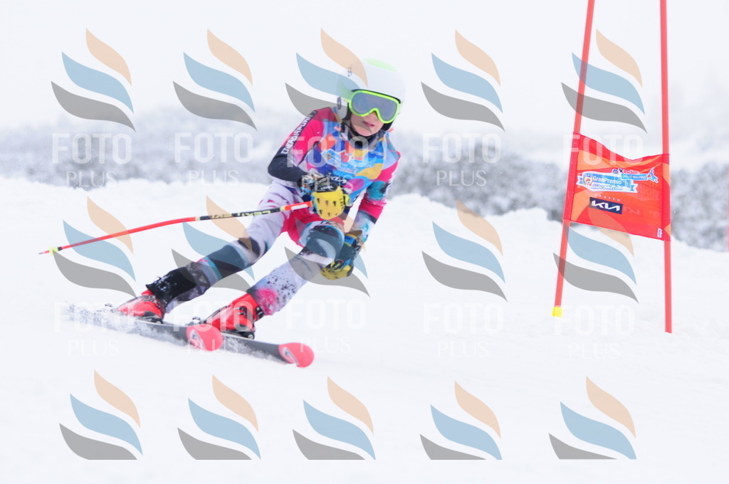 C2653 | holidayphoto